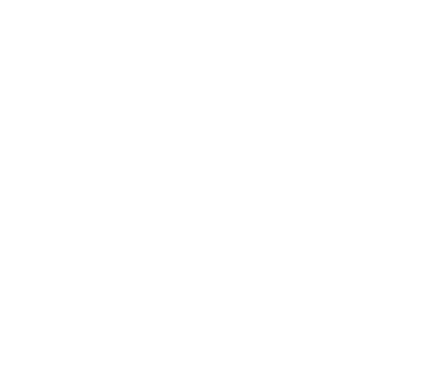 RISC Zero